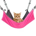 Cat hammock rose red