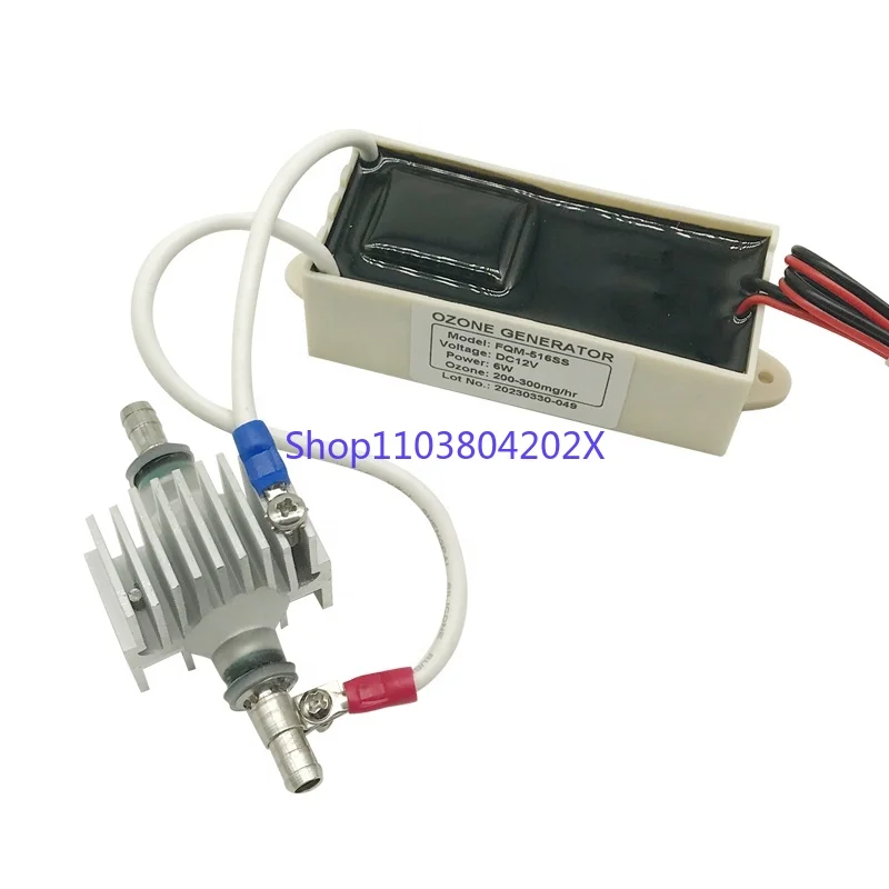 FQM-516 200mg Ozone Generator 220V