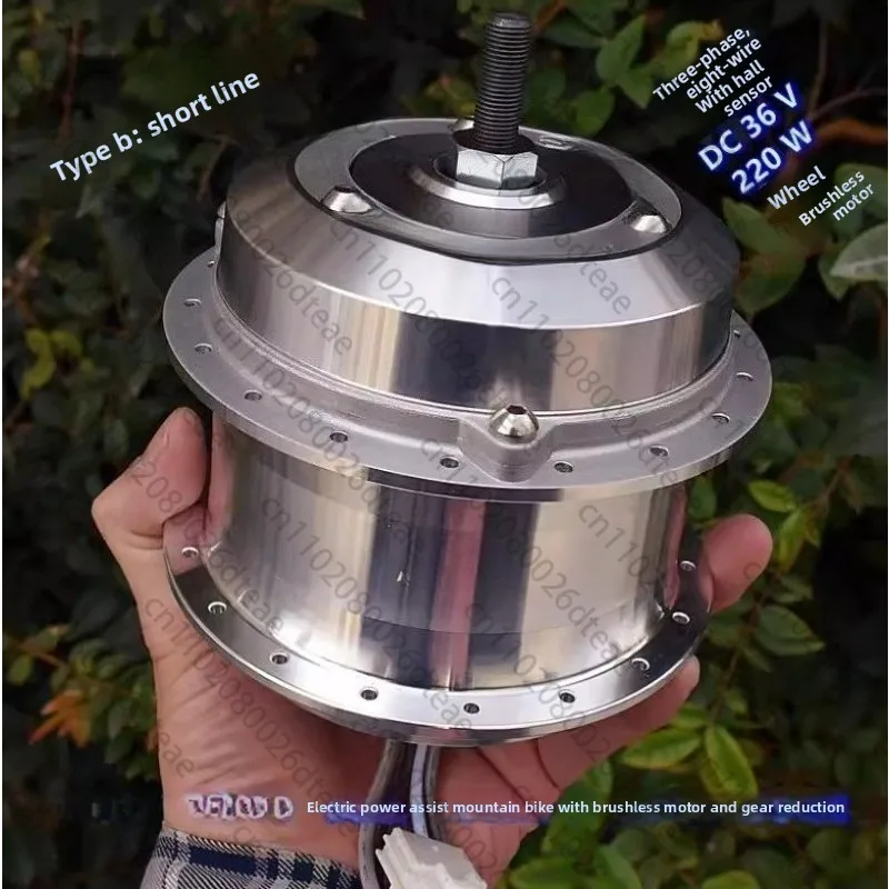 

Electric Assist Mountain Bike Brushless Wheel Motor One-way Clutch Gear Reduction