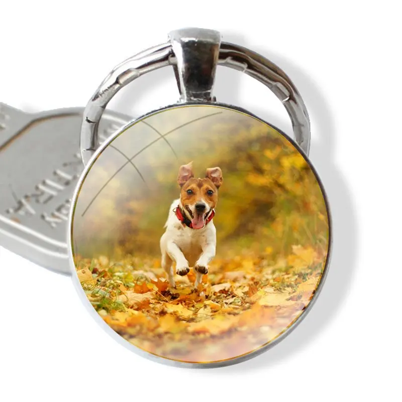 Keychain Handmade Glass Cabochon Key Ring Holder Pendant Key Chains Jack Russell Terrier Dog Fashion Creative Cartoon Design