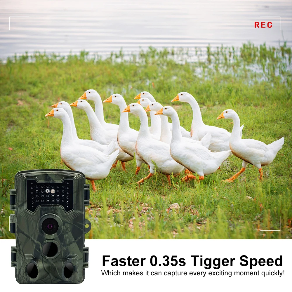 Thumbnail 3 - #46 Wildlife Cameras Discount Picks