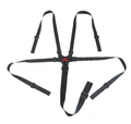 Seat Belts