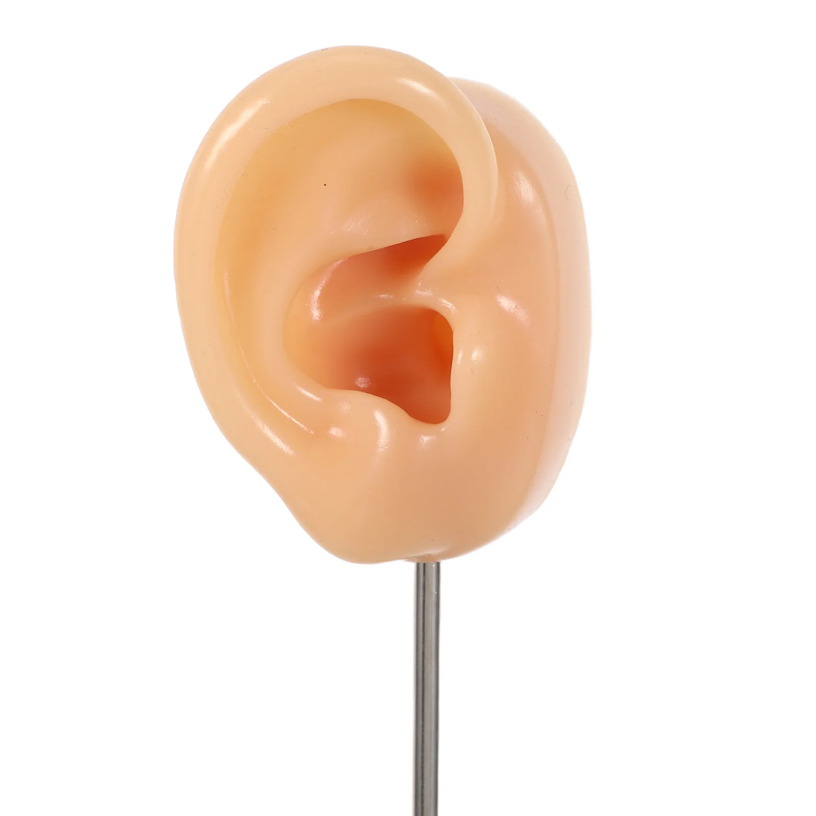 2 قطعة الأذن سيليكون عرض موقف الأذن على شكل مجوهرات المنظم قاعدة مستديرة حامل أقراط رف البائع عرض المجوهرات