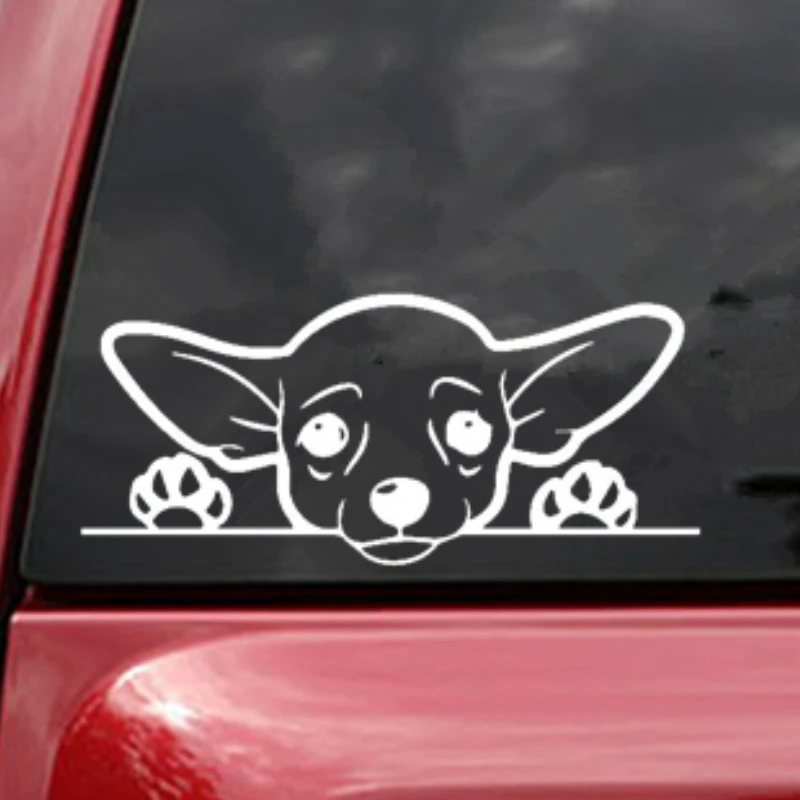 Lykx adesivo fofo de cachorro chihuahua, acessórios externos, decalques de vinil para caminhões, vans, suv, janelas, paredes, copos, laptops