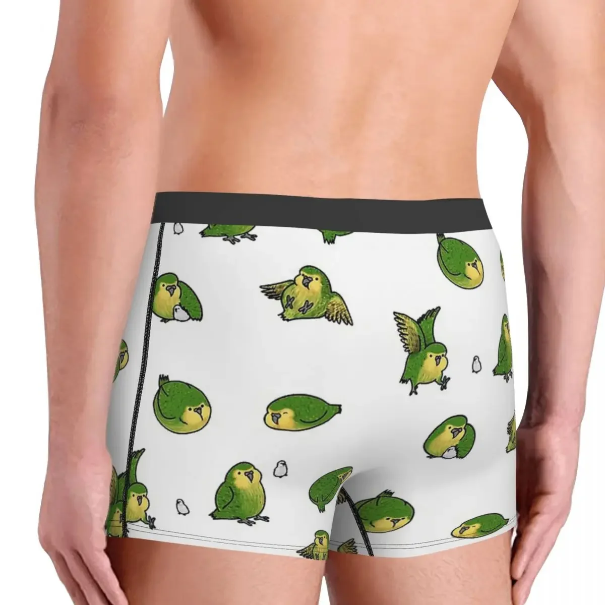 Kakaco Parrot Kaka Po Strigops Habroptila Bird Birds Happy calzoncillos para hombre, ropa interior, pantalones cortos ventilados, Calzoncillos Bóxer