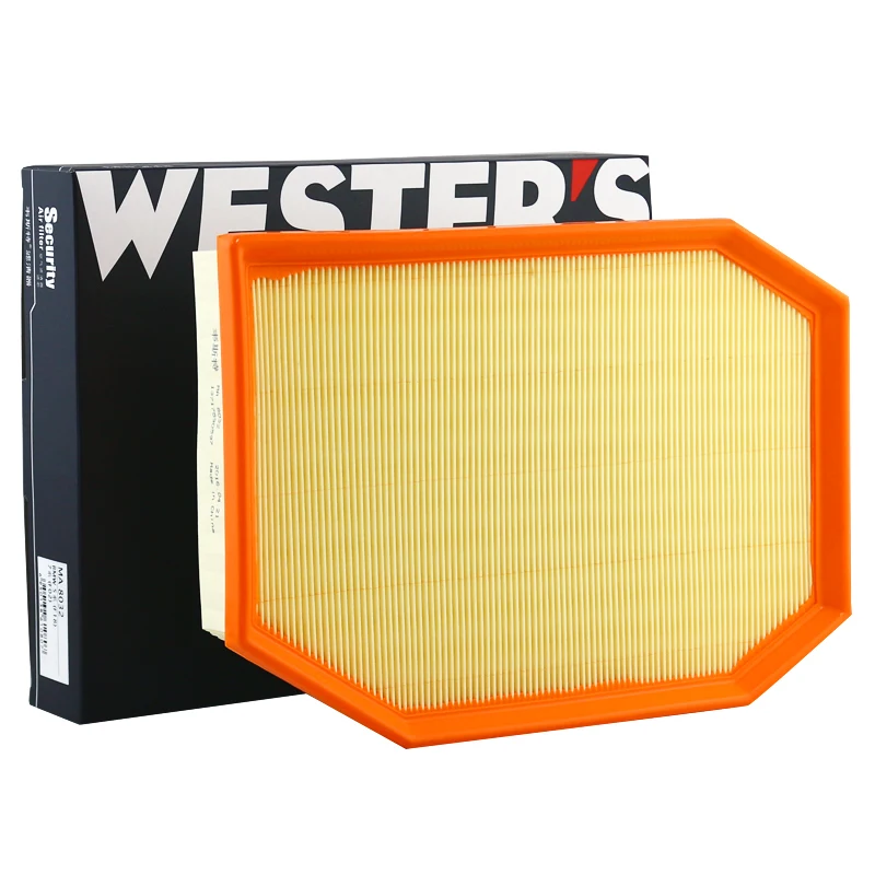For BMW Series 5 (F10 F11 F18) 7 (F01 F02 F03 F04) MA8032 Air Filter 13717590597 MANN C30003 MAHLE LX1741