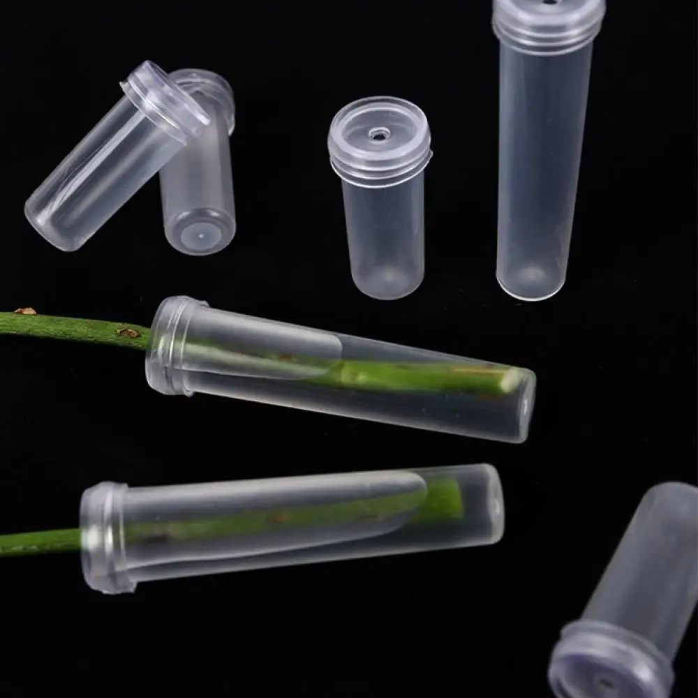 Portable Flower Water Tubes Nutrient Vials For Fresh Floral Arrangement Preservation Wedding Bouquet Accessory Florist Tool