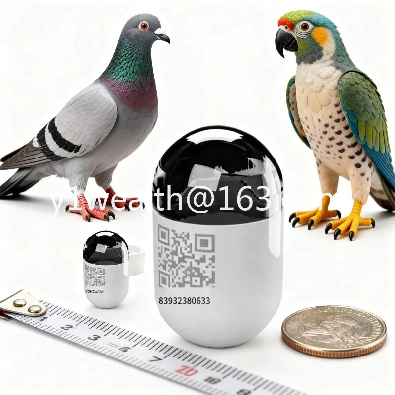 

New Waterproof Mini Real Time Pigeon GPS Locator with 4G Network, Pigeon GPS Locator for Outdoor Flying