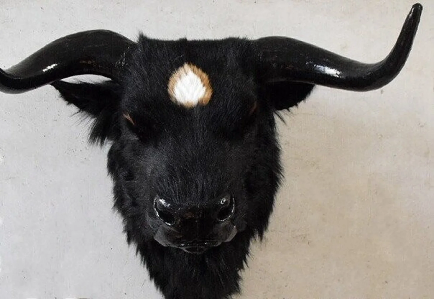 

new creative simulation yak head toy lovely handicraft black yak head gift Furnishing articles about 56x38x50cm