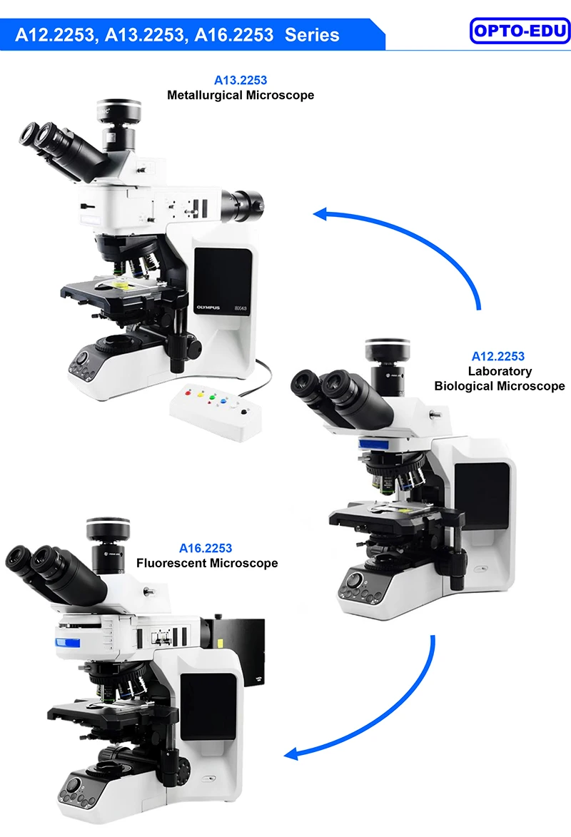Microscópio fluorescente trinocular biológico de laboratório OPTO-EDU A16.2253