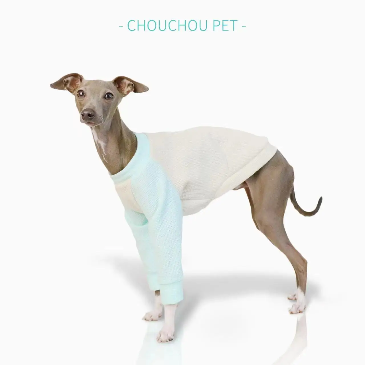 Waffle thin two-leg clothes Whippet breathable splicing pet clothes puppy medium dog clothes Doberman