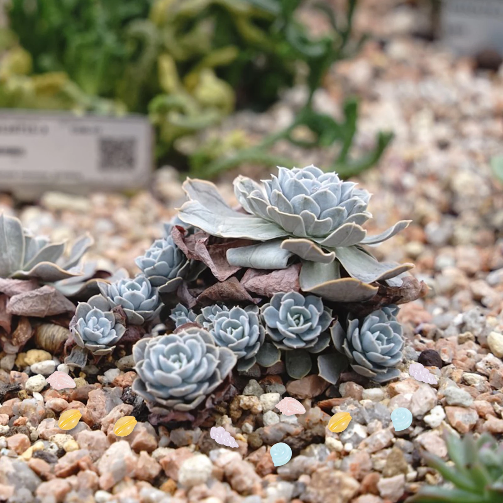 

20 Pcs Mini Ocean Animals Figures Sea Statues Marine Resin Decorations Miniature Aquarium