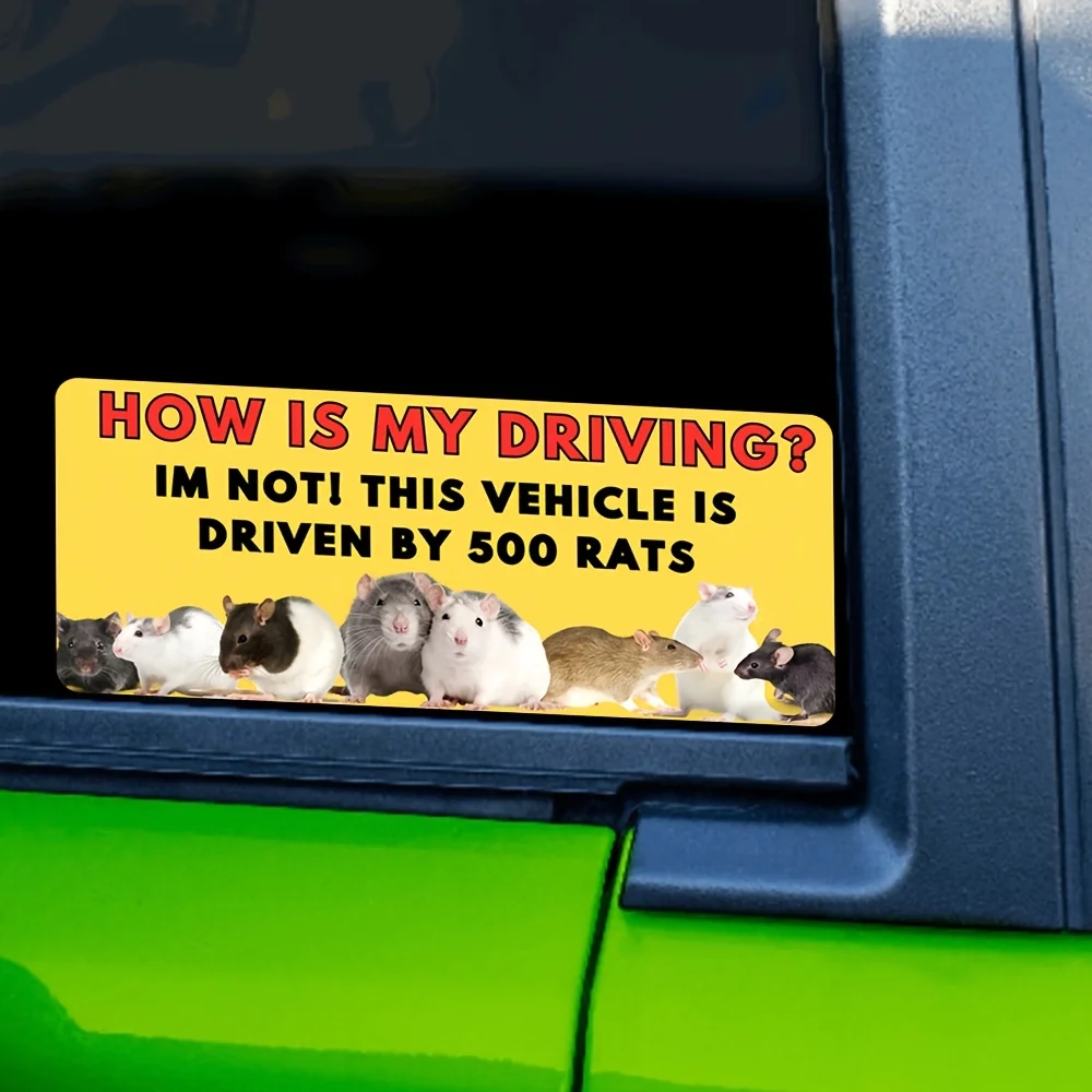 How Is My Driving? I'm Not, This Vehicle Is Driven Funny Meme Gen Z Sticker Bumper Sticker Diverting Waterproof Vinyl Decals