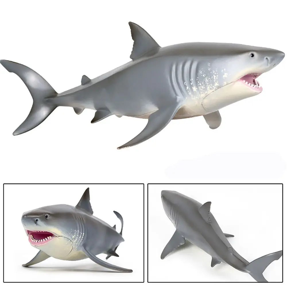 Realistic Science  Cognition Simulation Sealife Great White Shark Models Early Learning Marine Organism Figurines