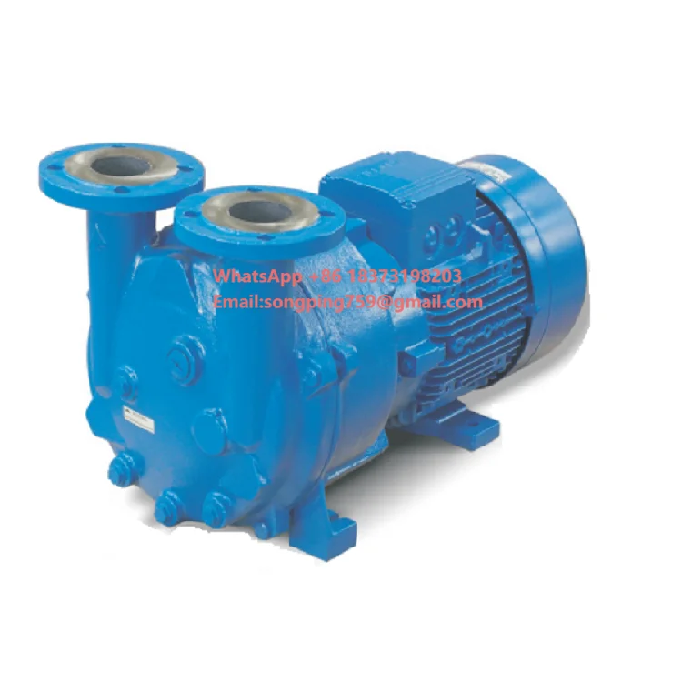 

2BV5-131 Liquid Ring Vacuum Pump | Energy Saving Design | for Chemical, Pharmaceutical & Wastewater Treatment