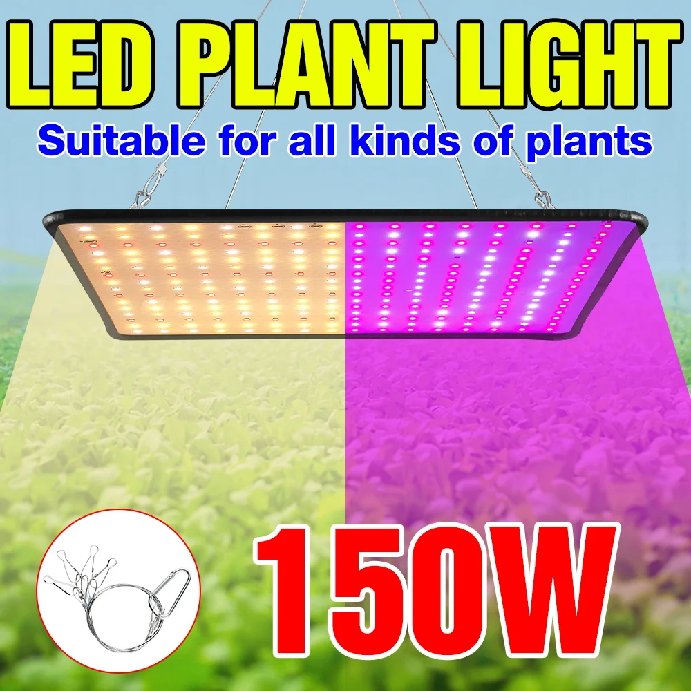 

Светодиодная лампа для растений 150 Вт, квантовая панель, полный спектр, для выращивания в теплицах, палатках, для фруктовых рассадок и растений в горшках