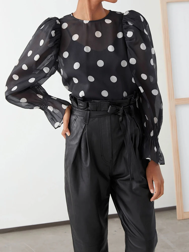 Chiffon bluse für Frauen transparente Puff ärmel Rundhals ausschnitt Frühling Mode Polka Dot Print lässig elegant transparent Hemd Tops 2024