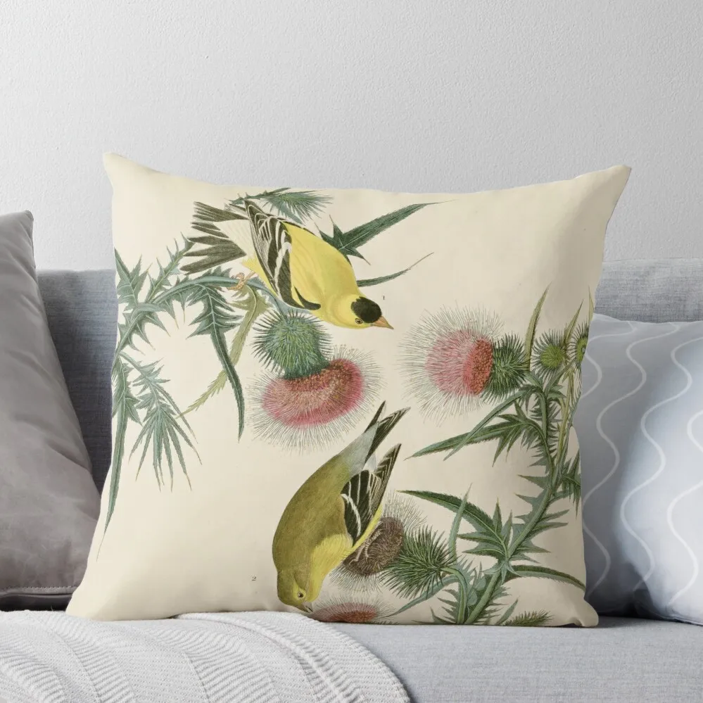 

American Goldfinch - John James Audubon's Birds of America Print Throw Pillow Couch Pillows Sofa Cushions Room decorating items