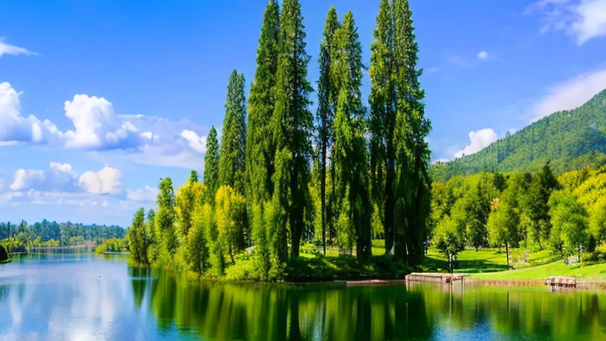 

Roman Column Bitter Bottle For Cocktail Glass Dahs Bottle 140ml Liquor Pourer Barware Bartender Kit Barware