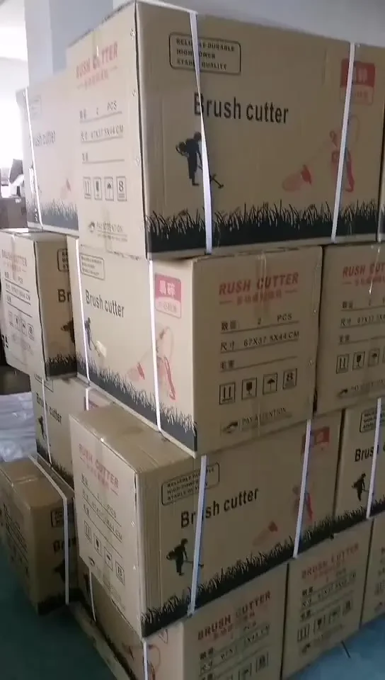 Corn Maize Precision Planter Seeder Maize Sowing Machine vegetable seed sales precision seeder machine