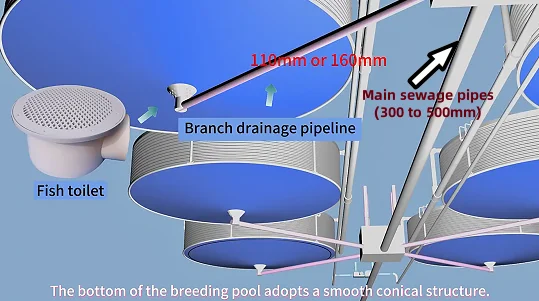AIROW SDM Fish Farming ponds for Fish and Shrimp RAS Tilapia Farming Aquaculture System Equipment Farming