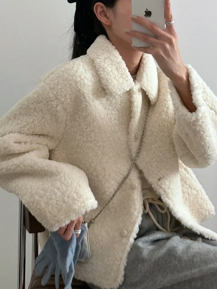 الشتاء Faion مكافحة الشيخوخة التلبيب زر واحد فرو الضأن ort Jaet المرأة الجديدة 2025 الكورية Sle فضفاضة تناسب محاكاة فرو الضأن