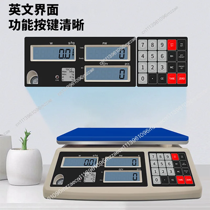 

English Version of Electronic Pricing Scale 0.01 Precision Industrial Counting Scale High Precision Small Gram Scale Electronic