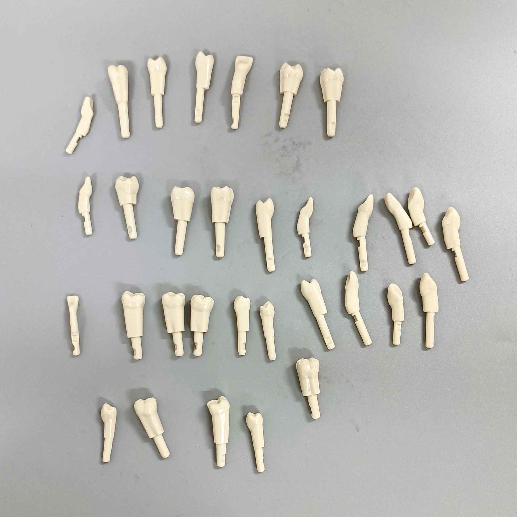 Dental 10/32Pcs Tooth Model fit for KaVo Basic Model  Teeth Retention Mechanism