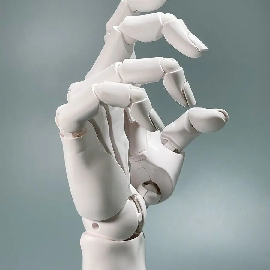 1 to 1 Scale Human Hand Joints Super Articulated Simulation Drawing Reference Ornament Model Articulated Mechanical Hand