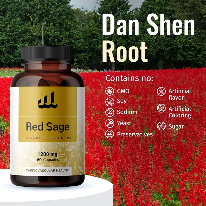 

Капсулы Red Sage — органическая добавка из порошка кореня Дэн Шэн — таблетки Салвия Милтиорреца — 1200 миллиграмм, 60 вегетарианских капсул