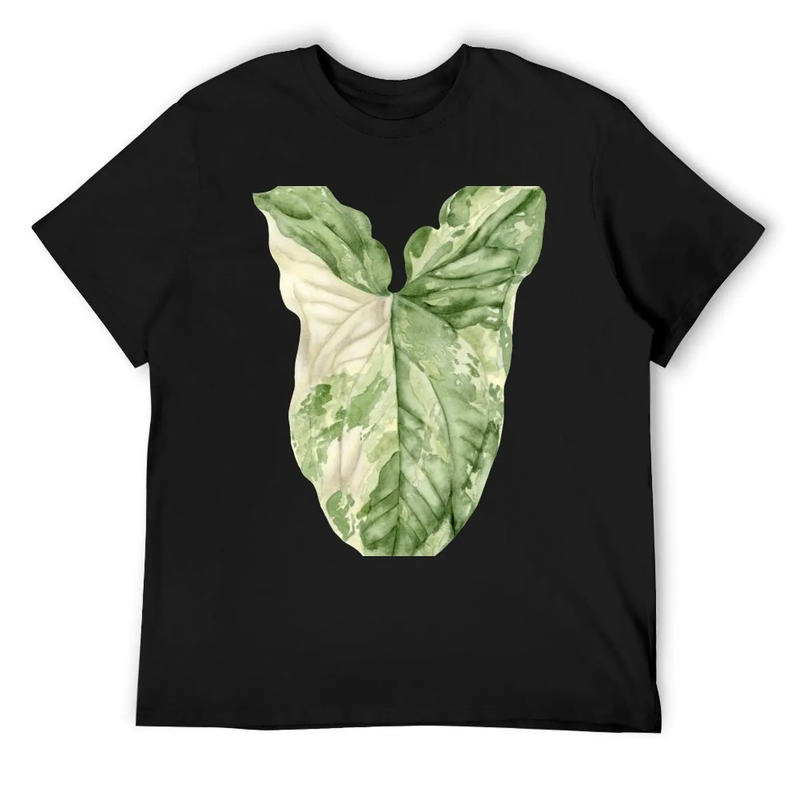 Syngonium Albo Variegata T-Shirt anime clothes Short sleeve tee shirts graphic tees t shirt for men