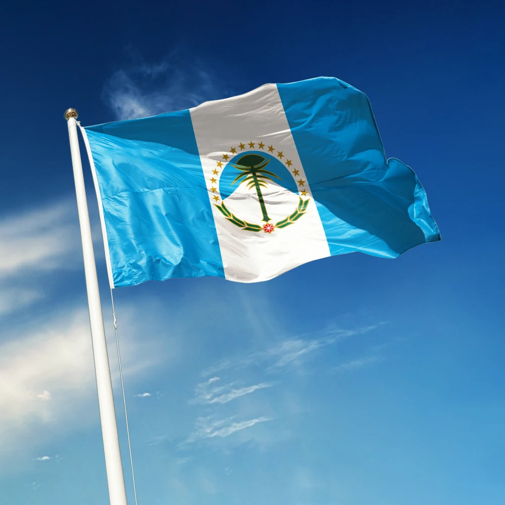 3x5 Ft Neuquén Flag Vivid Color and Fade proof The Jujuy flags of Argentina Polyester with Brass Grommets 3 X 5 Ft