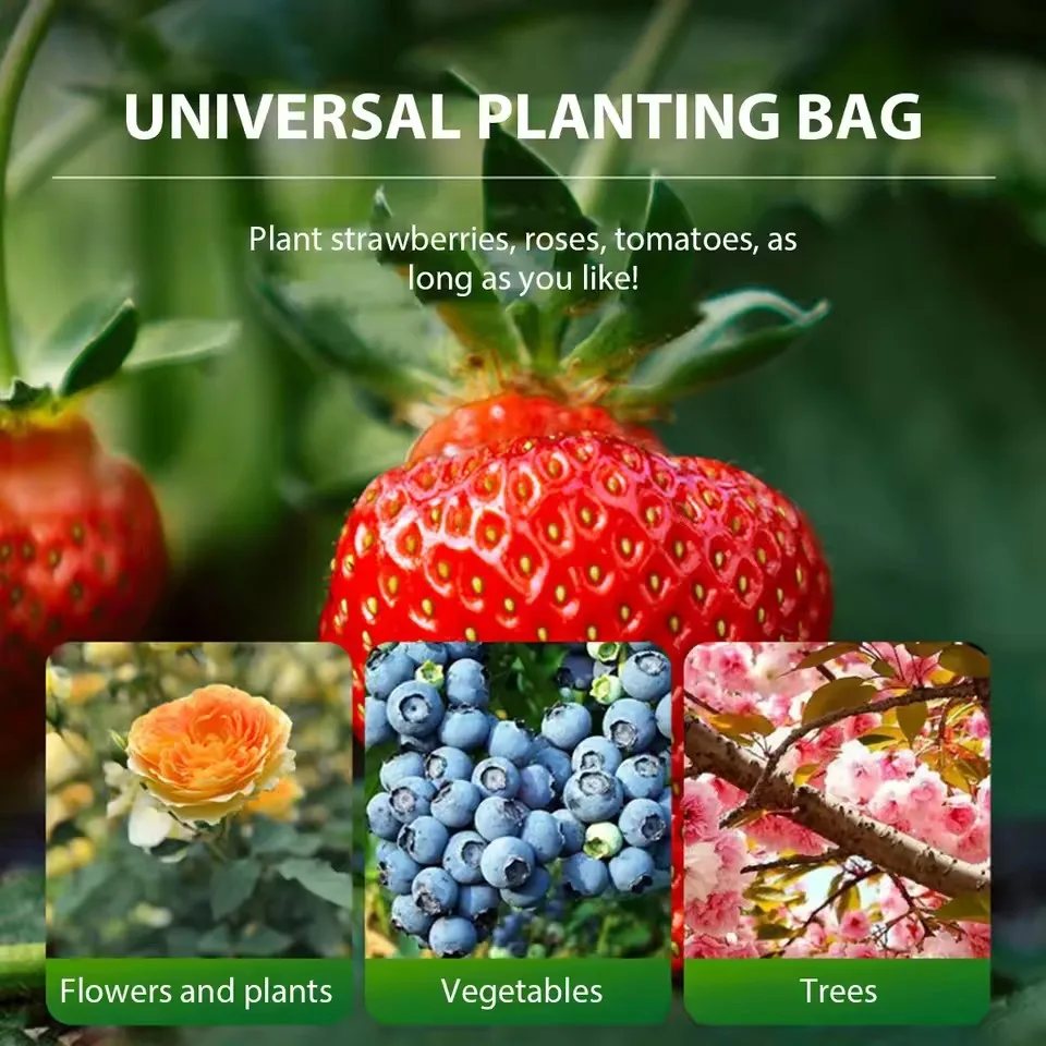 5PCS Felt Grow Bags 3-20Gallon Thickened Gardening Fabric Vegetable Flower Planting Pots Greenhouse Garden Plant Nursery Pot - view 5