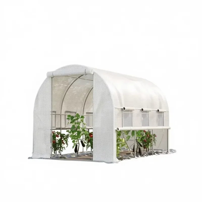 Mini Walk-In Garden Greenhouse with PVC Frame 6x8 Ft and Ventilation Windows for Outdoor Plant Growing