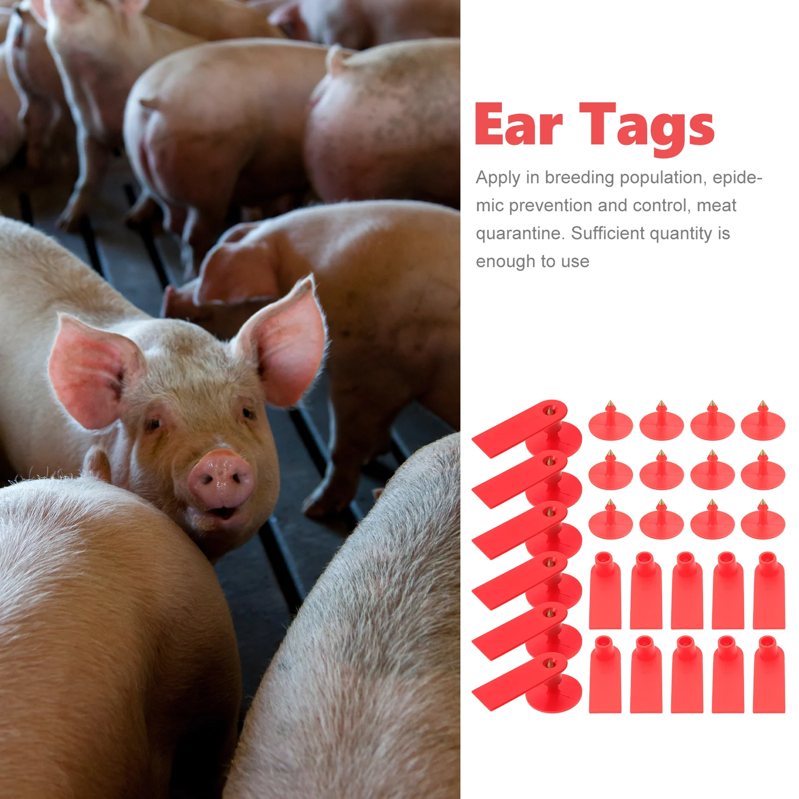 

100 Pcs Sheep Ear Tag Small Tags for Cattle Cow Kit Round Animal ID Livestock Pig