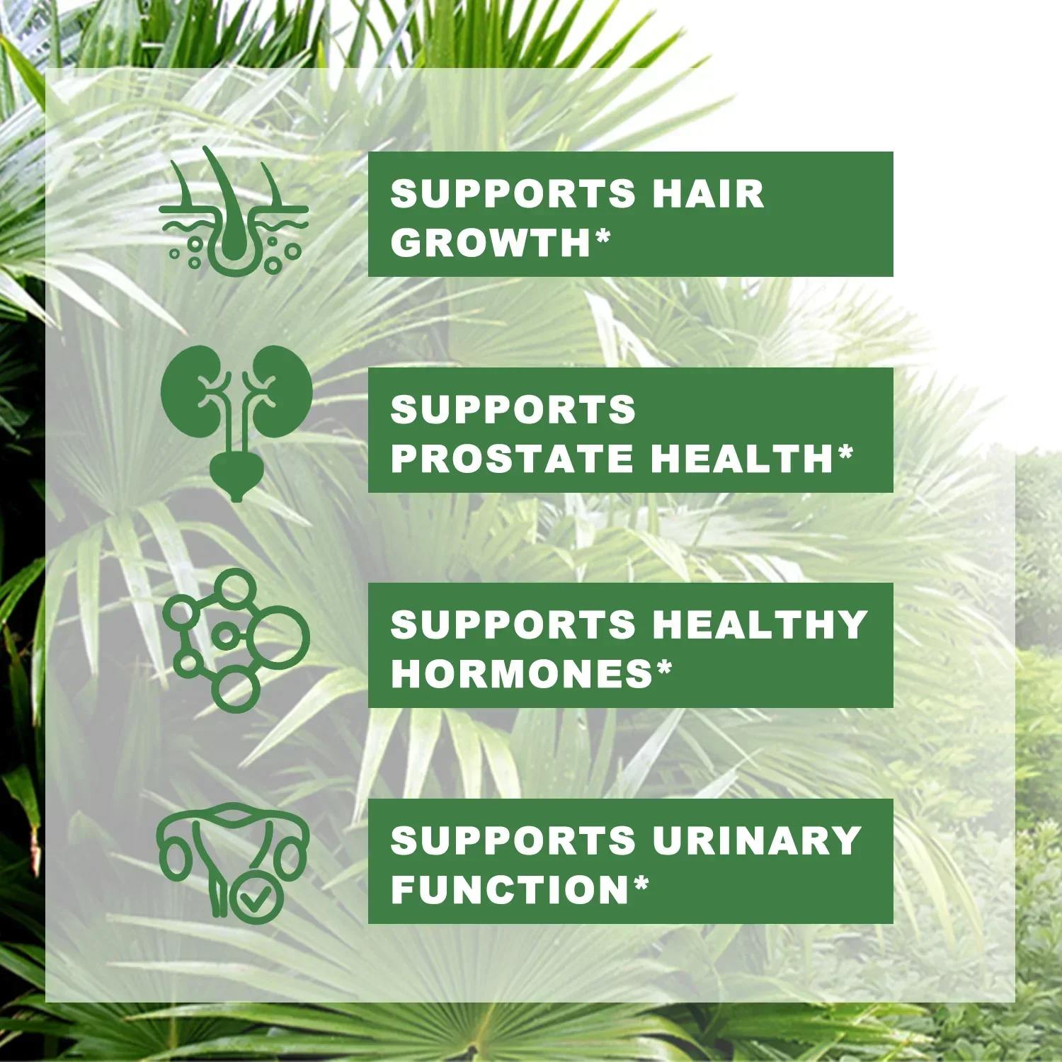 Saw Palmetto - Help Promote Prostate Health, Reduce Baldness and Thinning Hair, Urinary System Health