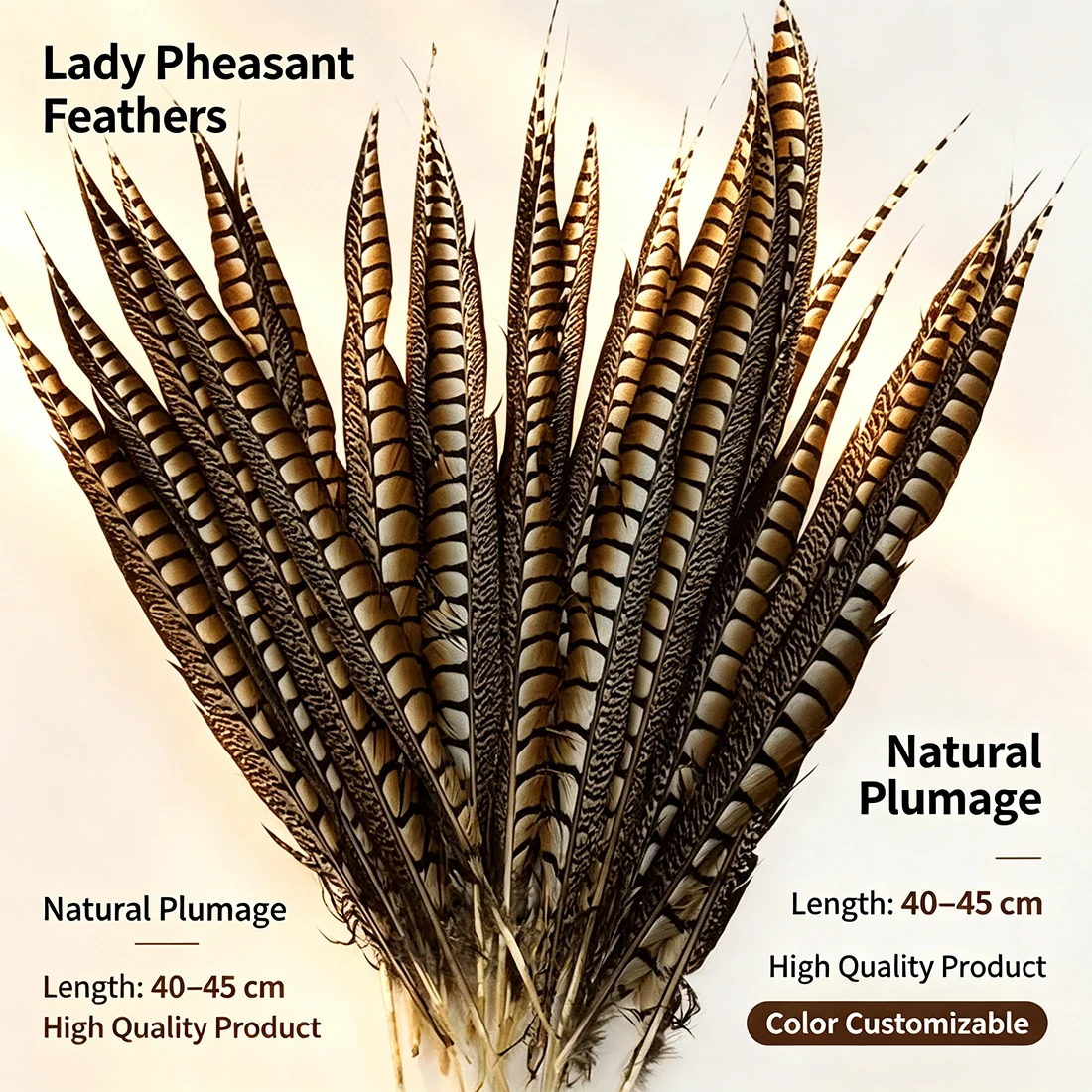 ZPDECOR Lady Pheasant Feathers 45-50cm/18-20 Inch for Crafts DIY Home Decorations