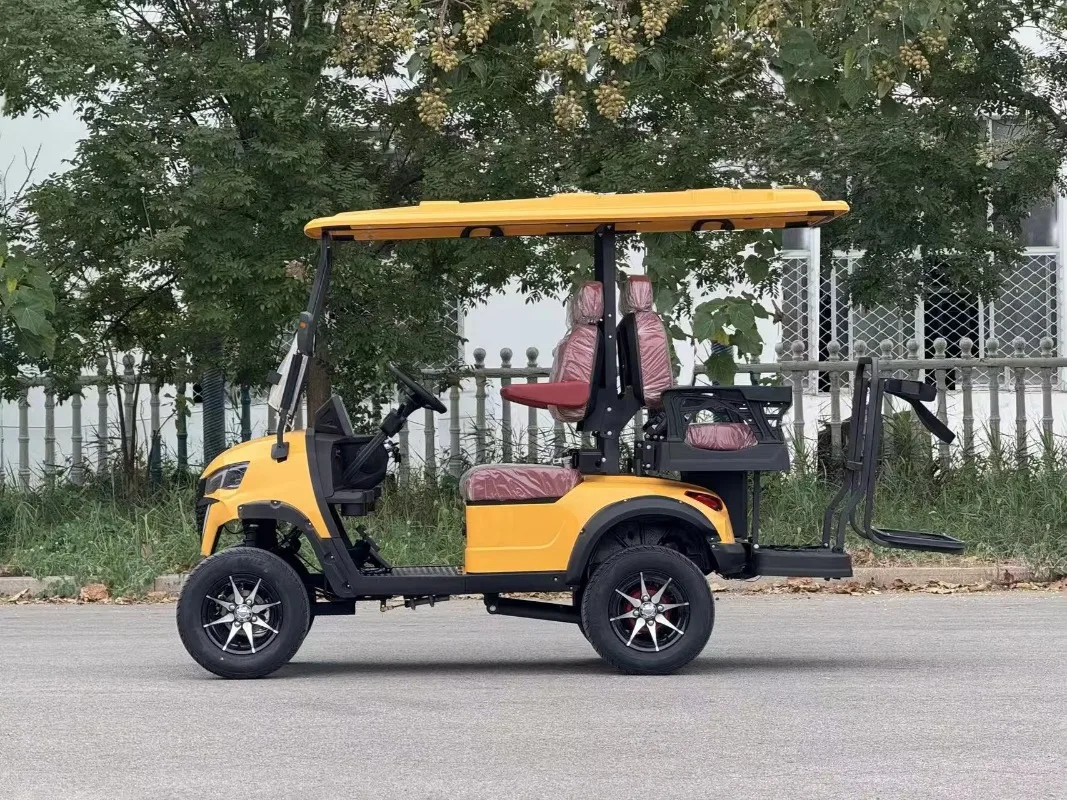 Golf Cart for Golf Courses And Travel For Hunting & Golfing