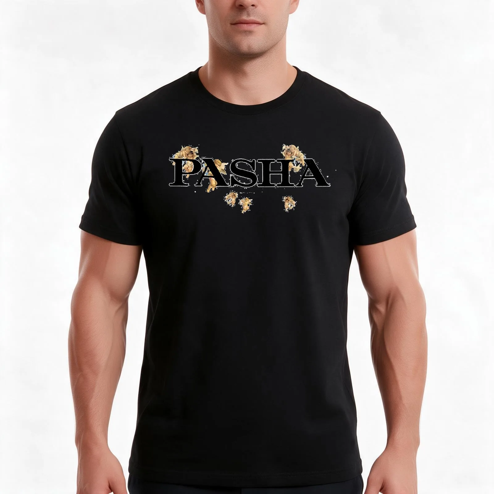 Pashanim logo T-Shirt, Summer Casual Cotton Tee, Oversized Streetwear Tops, Vintage Graphic Print, Loose Fit Short Sleeve