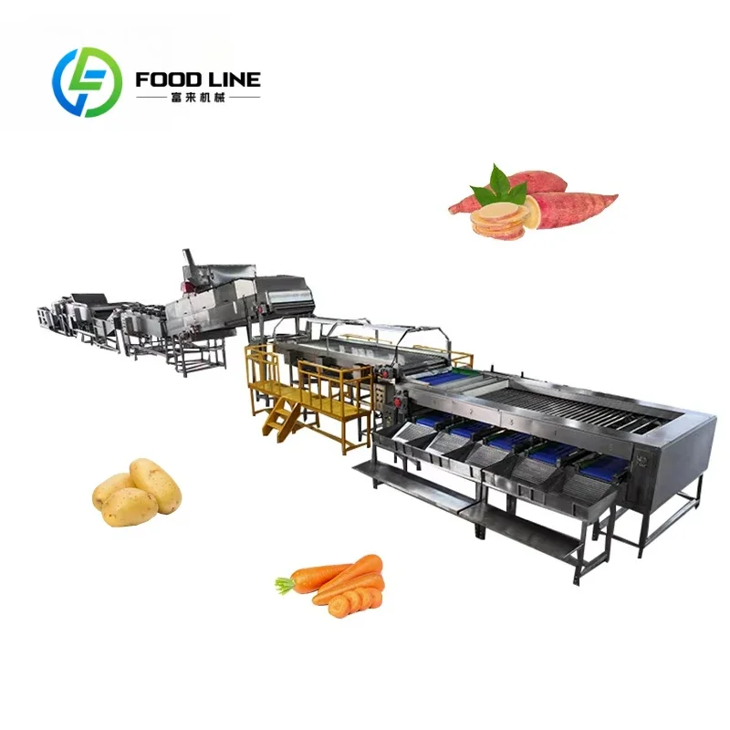 Customized High-efficiency sweet potato sorting equipment Commercial sweet potato processing and grading equipment