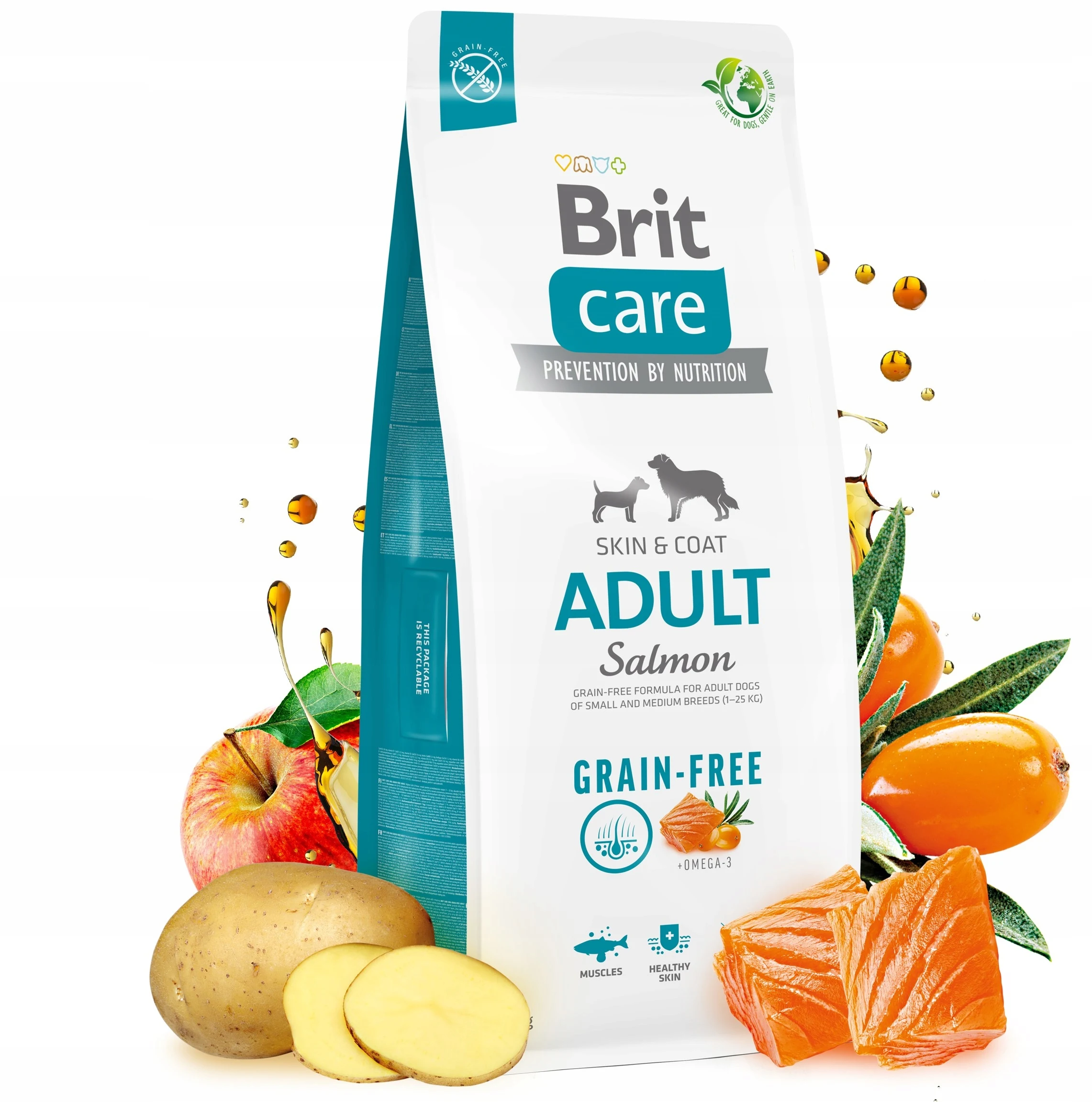 بريت كير كلب سمك السلمون للبالغين خالي من الحبوب 12 كجم #1