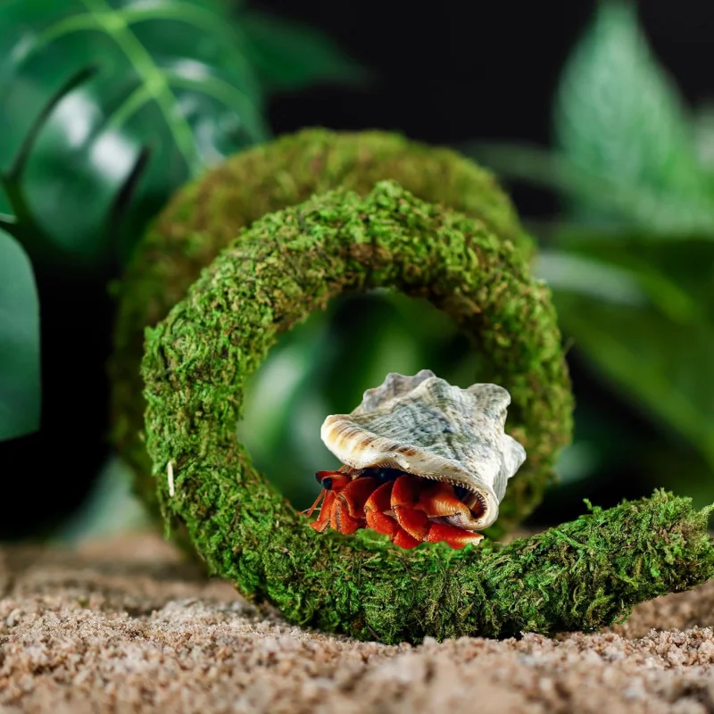 

Семитация для крабов-отшеток, деформируемая и изогнутая, сцена в форме аквариума, 50 см, реквизит для восхождения из искусственного моха.