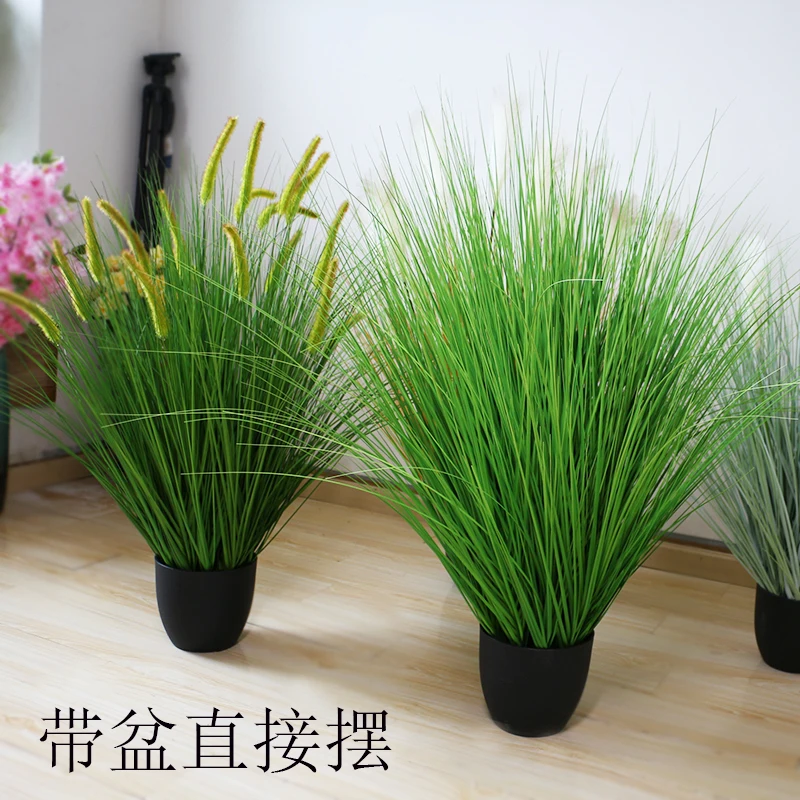 Simulation of reed potted bonsai dog tail grass onion grass green reed grass