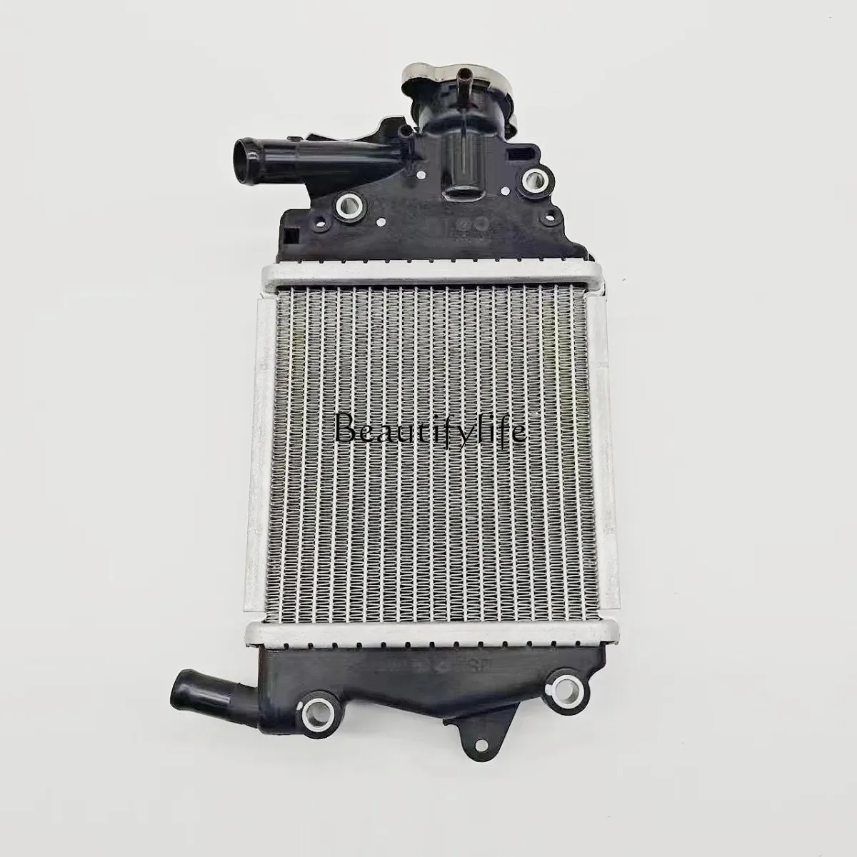 *Dayang motorcycle accessories V Rui 150T-30 water tank Dayang ADV150T-36 radiator water tank cover