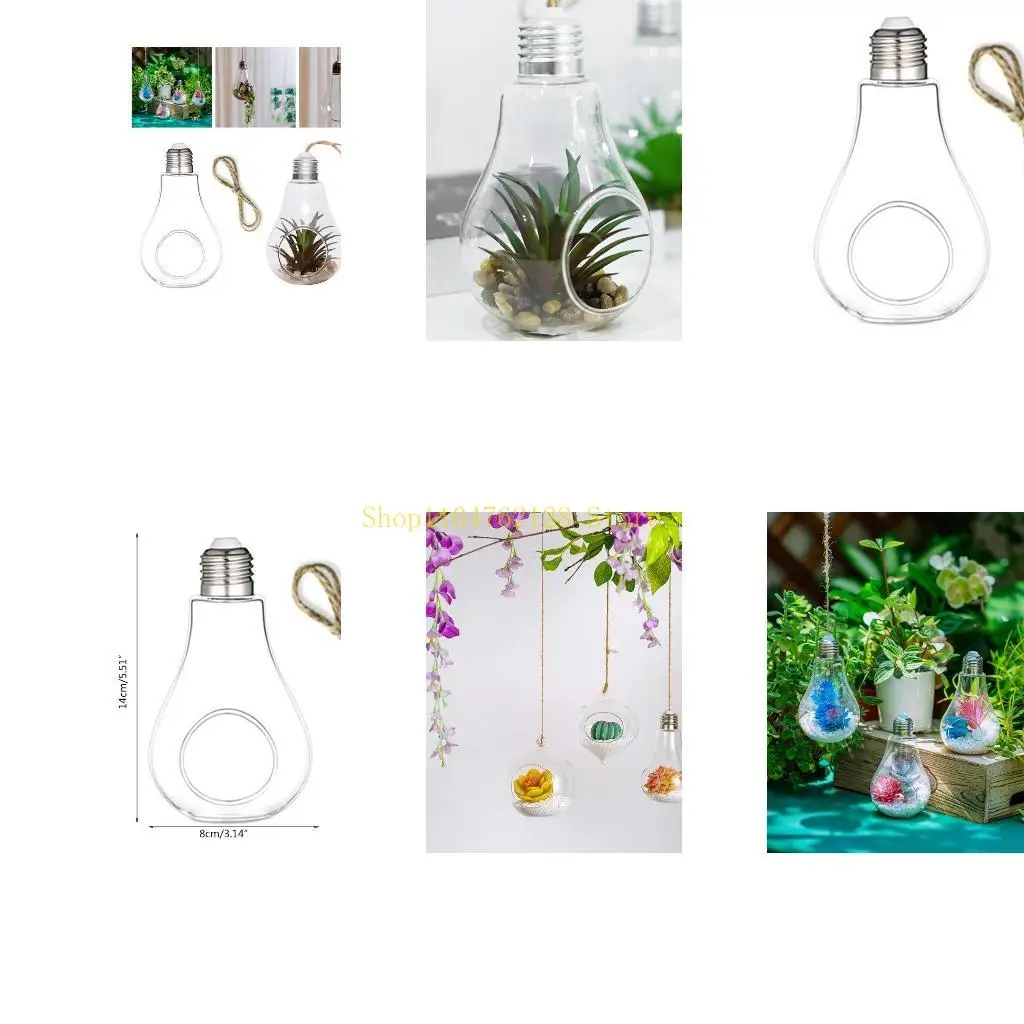 Macetero colgante con forma bombilla, planta aire redonda, decoraciones para terrario, mejor venta