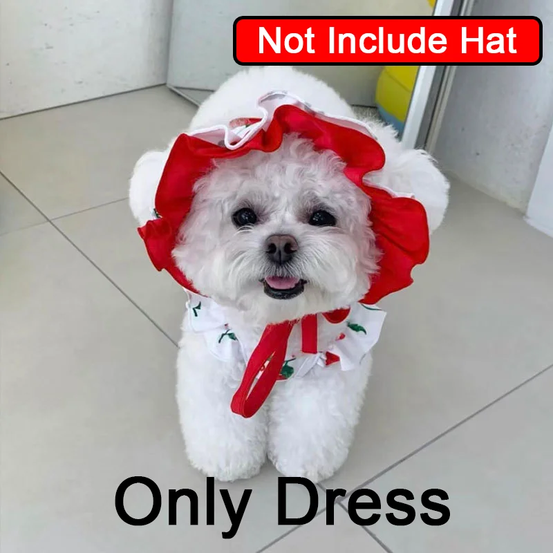 Dog Clothes Cute Cherry Print Dog Swimsuit Pet Cats Puppy Bichon Poodle Thin Breathable Summer Pet Vest Small Dog Dresses