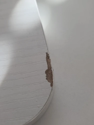 실물 포토 리뷰