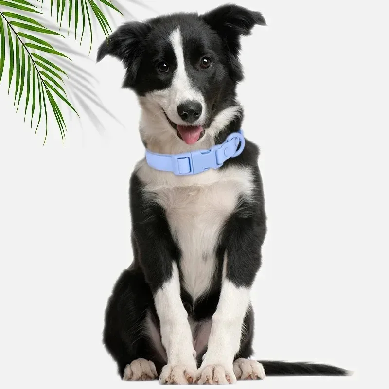 Neues Macaron-farbiges PVC-Hundehalsband, wasserdicht, schmutzabweisend, leicht zu reinigen, Haustierhalsband, verstellbares Halsband, Haustier-Hundehalsband – Detail 8