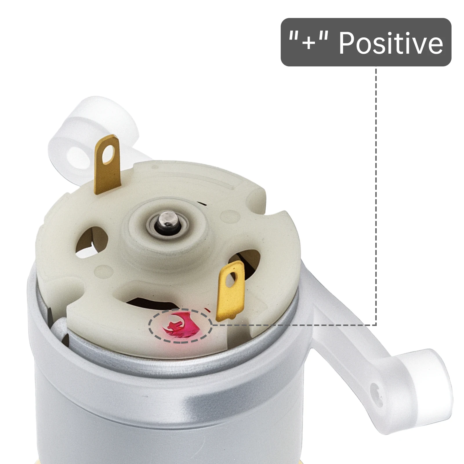 R365 Micro Water Pump Motor DC 3.7-12V 2.2L/Min Self Priming Pump Silent Electric Diaphragm Pump, Micro Water Pump view 4