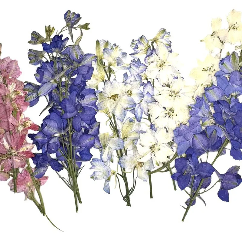 

84Pcs Pressed Flowers with Branches and Birds, Plant Specimens DIY Materials, Resin Coasters, Table Lamps, Candles, Photo Frames, Dried Flowers, Pressed Flowers